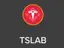 Token logo for AAPL stock